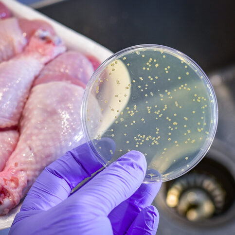 Food Safety