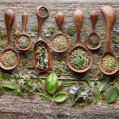 Herbs fresh and dry on old wooden board Herbs fresh and dry on old wooden board